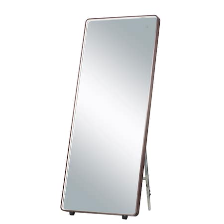 Mirror 1-Light 27.5 Wide Anodized Bronze LED Mirror